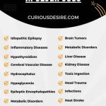 Causes of Seizures in Older Dogs infographic