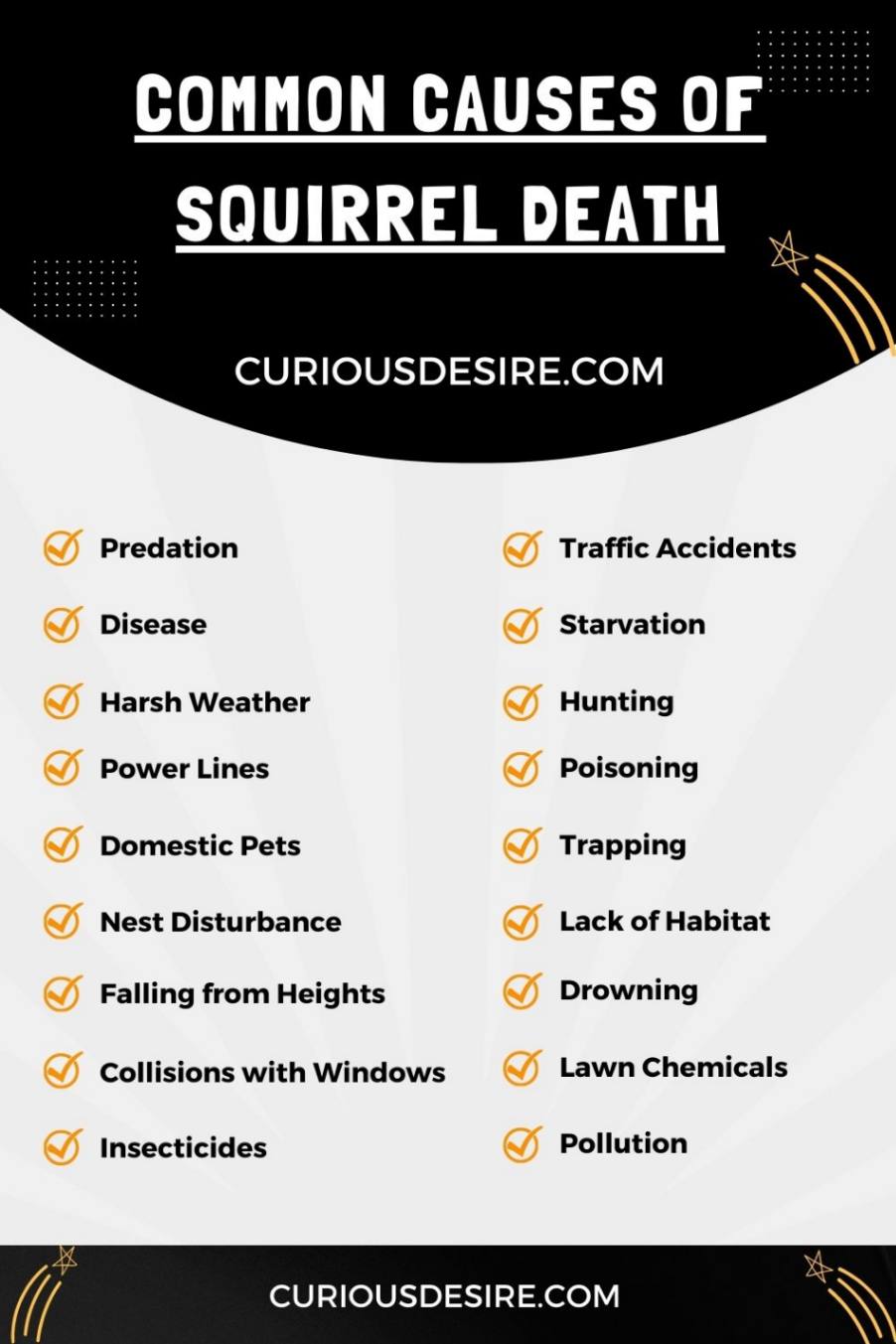 Causes of Squirrel Death infographic 