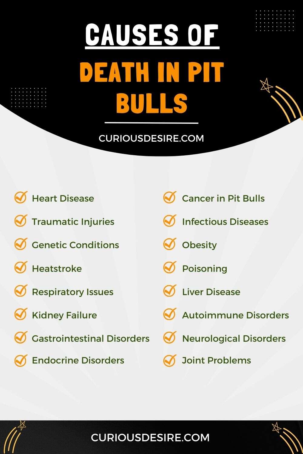 Common Causes of Death in Pit Bulls Infographic