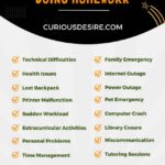 Excuses For Not Doing Homework Infographic