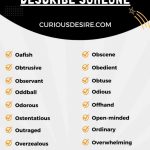 'O' Words to Describe Someone infographic