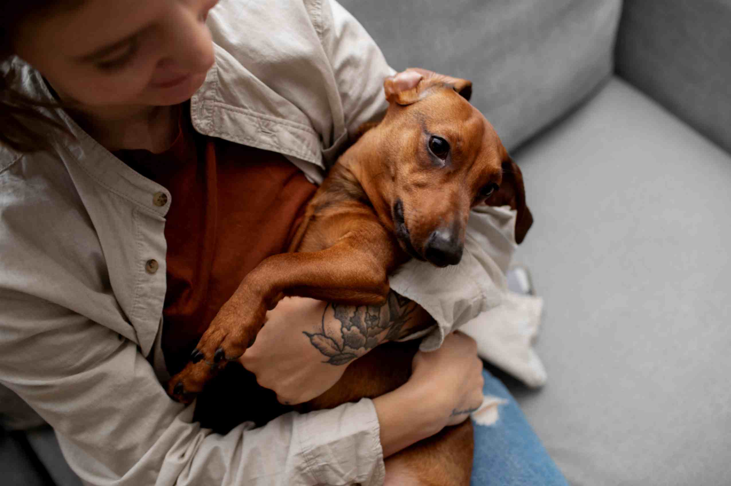 Owner is hugging his dog to comfort him 