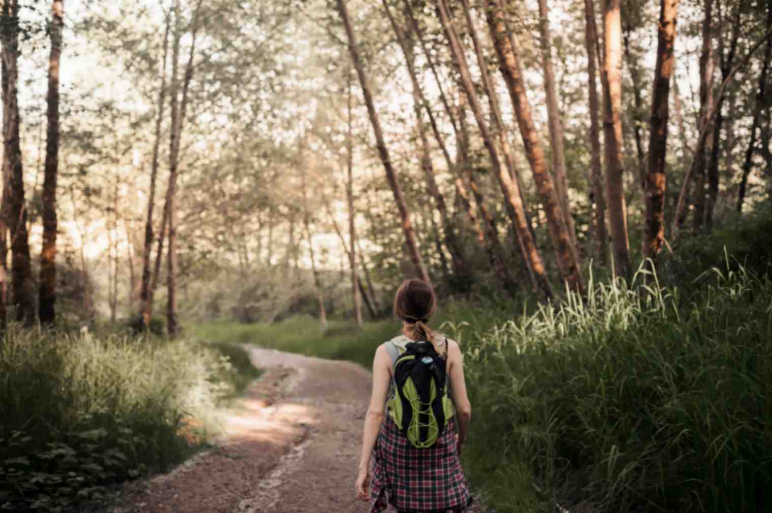 Woman Walking Alone in the Forest