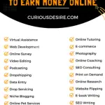 100 Ways to Earn Money Online Infographic
