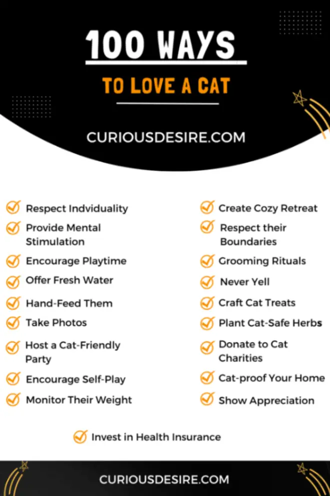 100 Ways to Love a Cat Infographic