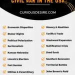 Causes of Civil War in the USA infographic