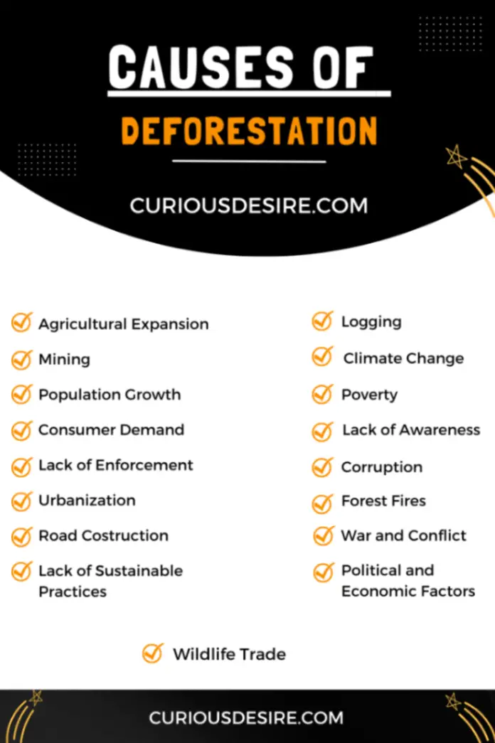 Causes of Deforestation Infographic