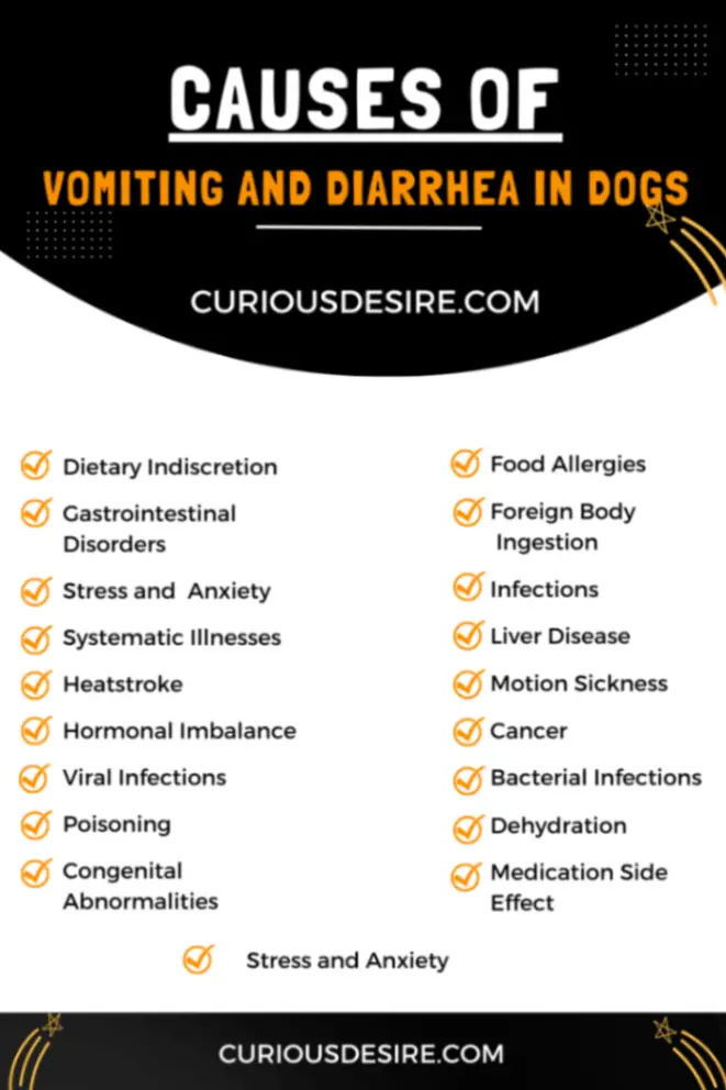 Causes of Vomiting and Diarrhea in Dogs Infographic