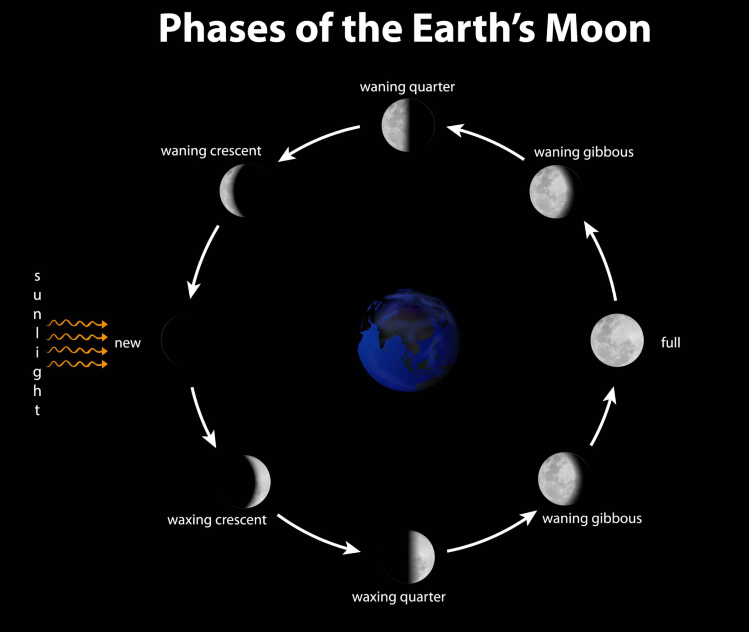 Diagram showing phases of the earth's moon