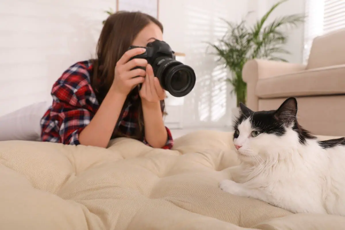 Girl taking pictures of her cat