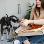 Women making his pet dog eat pizza while sitting on bed