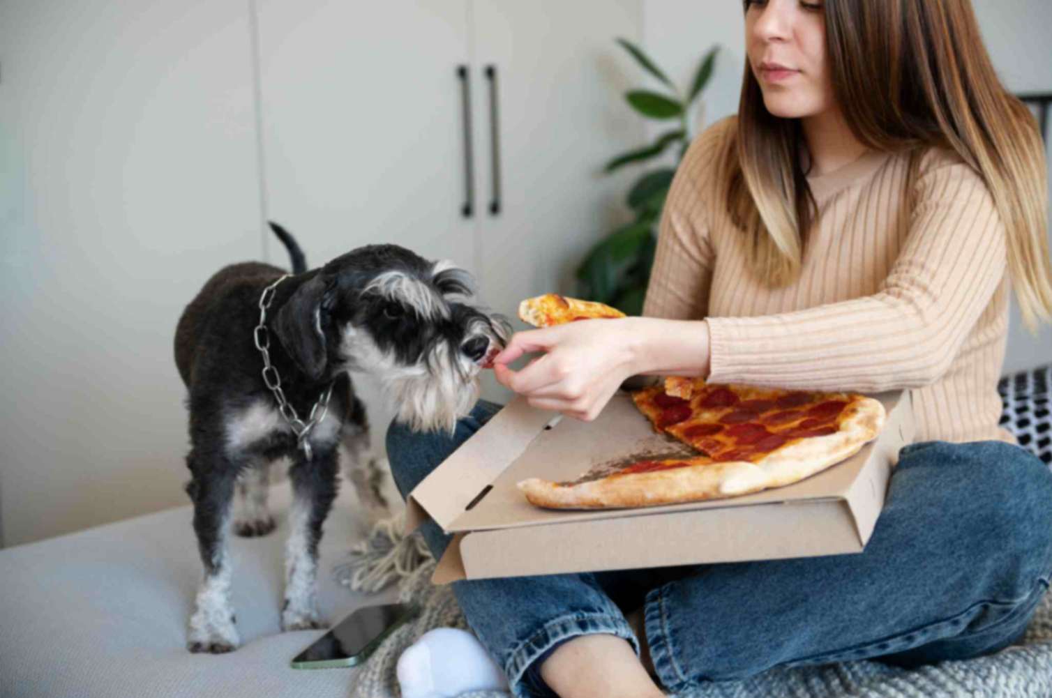 Women making his pet dog eat pizza while sitting on bed