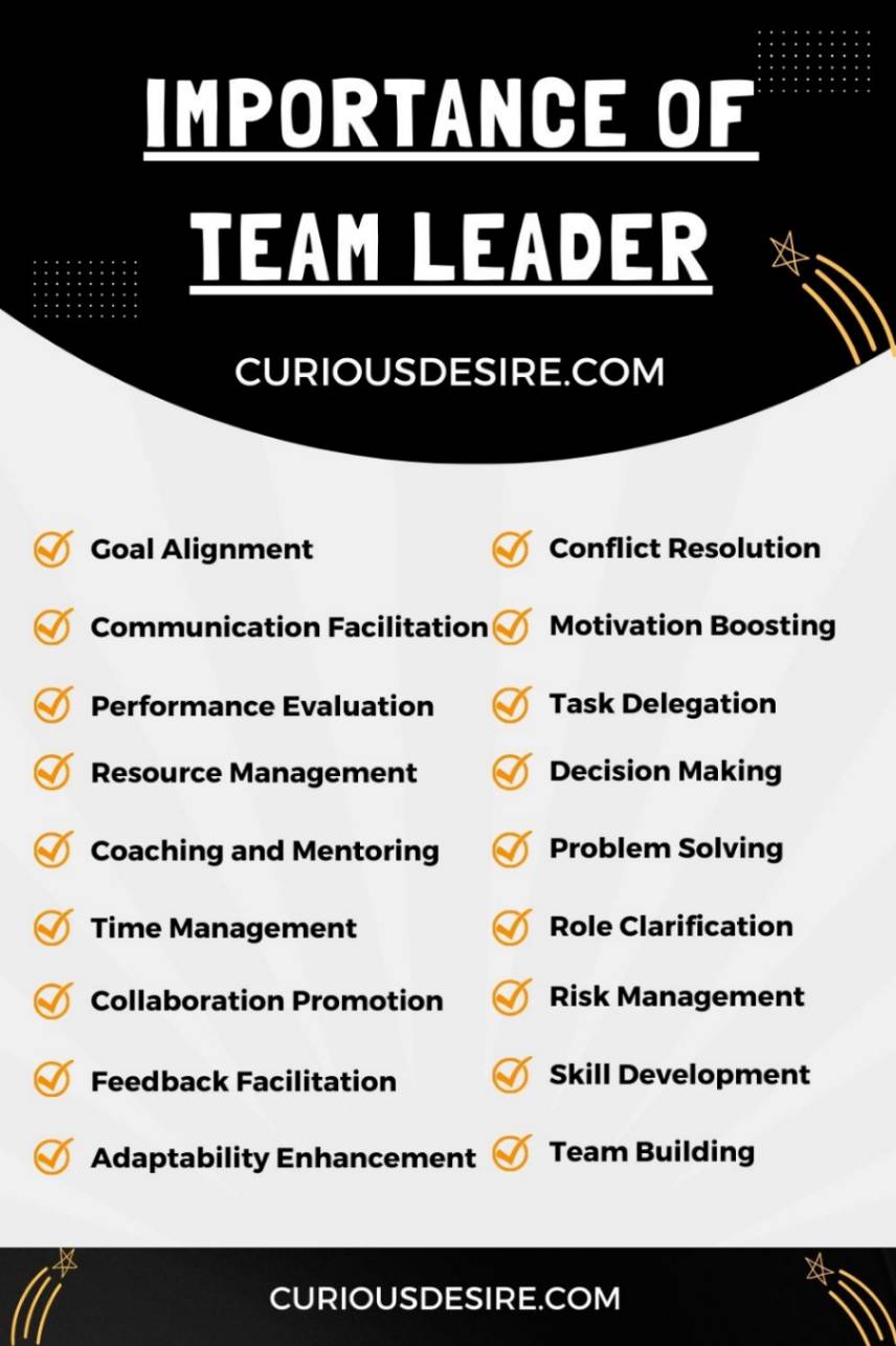 Importance of Team Leader infographic