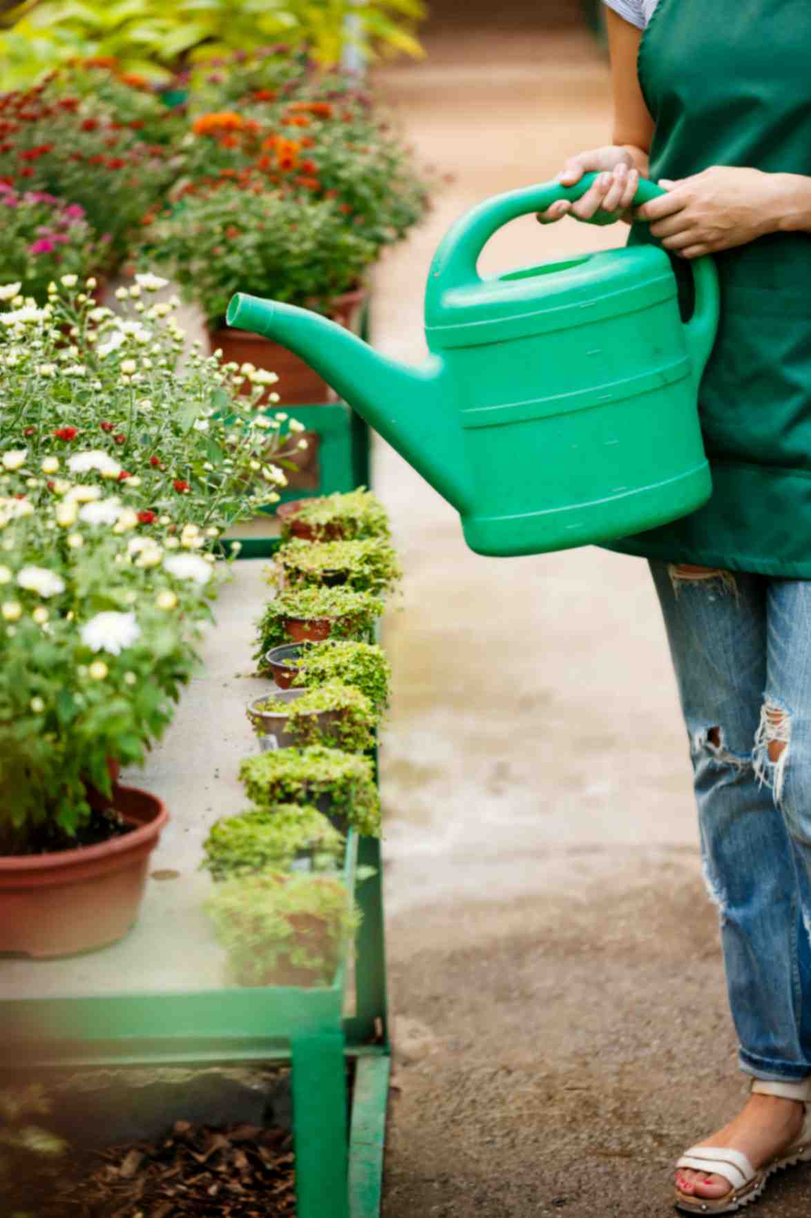 Young Women Watering Plants
