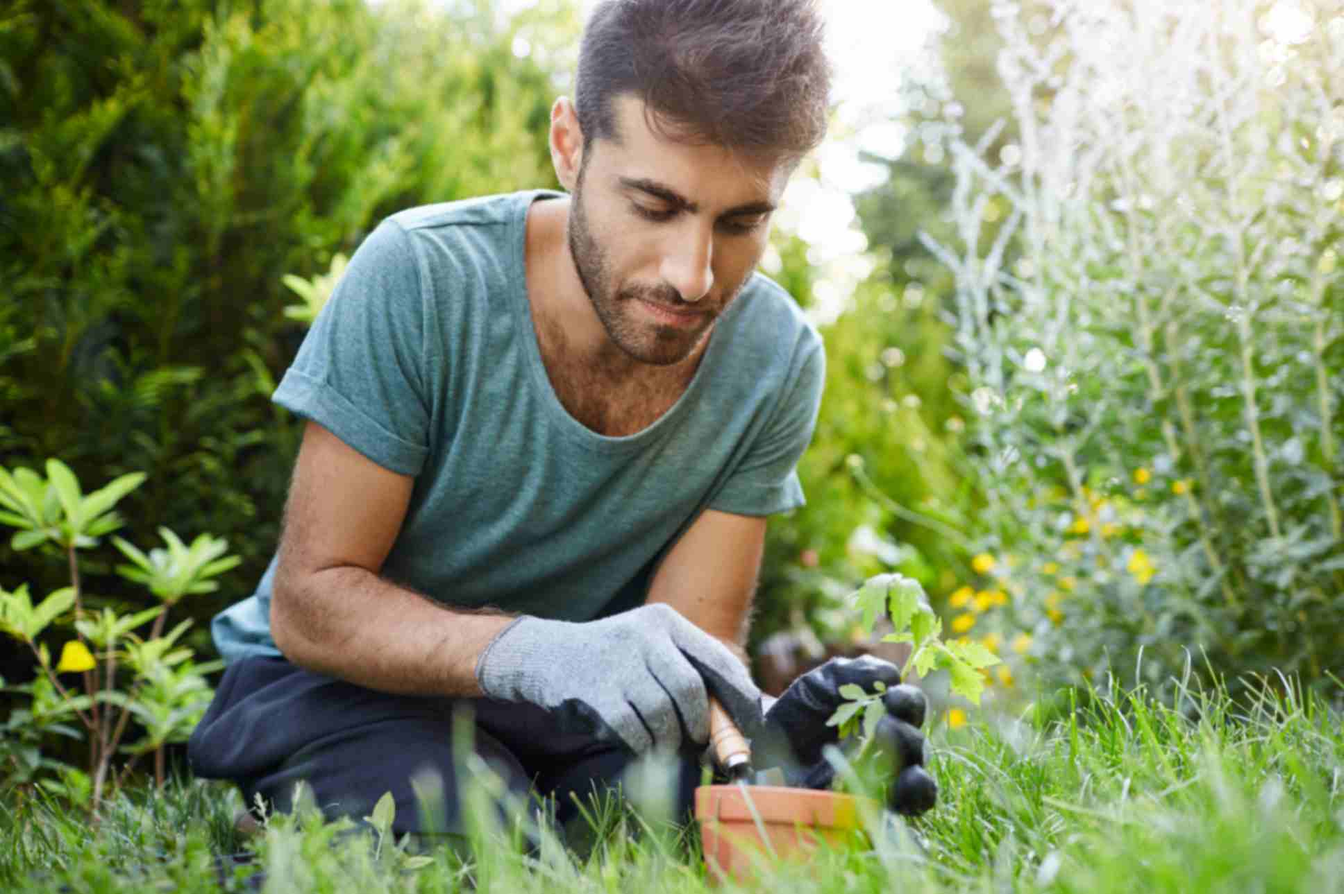 Close up portrait of bearded male gardener concentrated on planting sprout flower pot with garden tool