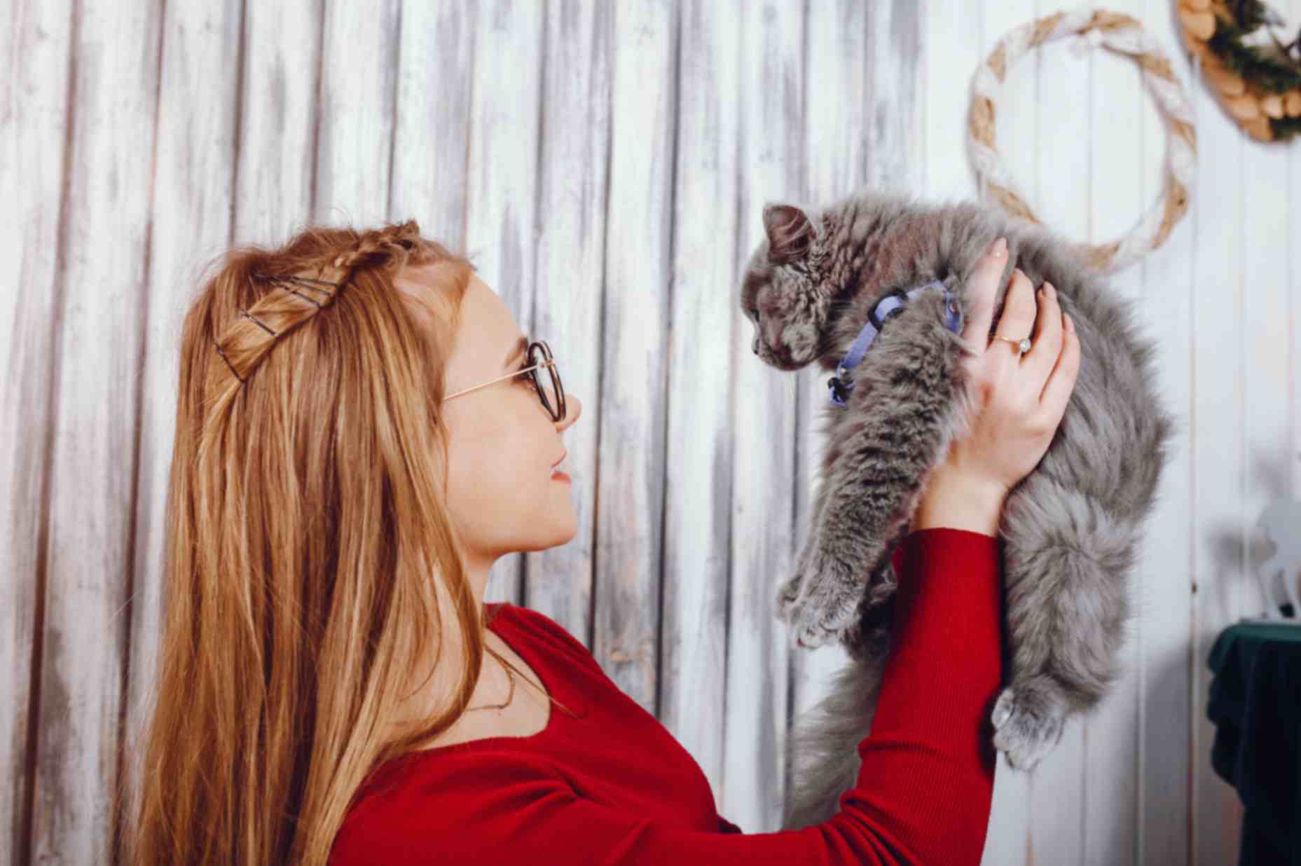 little girl with cat
